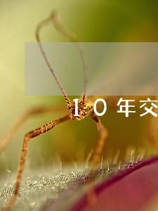 10年交通违法曝光公告第83期