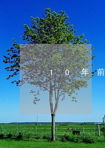 10年前呆账还清消除逾期 10年前呆账还清消除逾期
