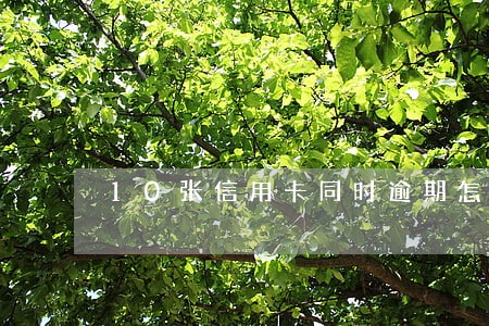 10张信用卡同时逾期怎么办 10张信用卡同时逾期怎么办