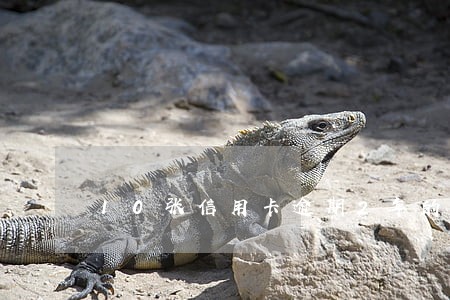 10张信用卡逾期2年的后果