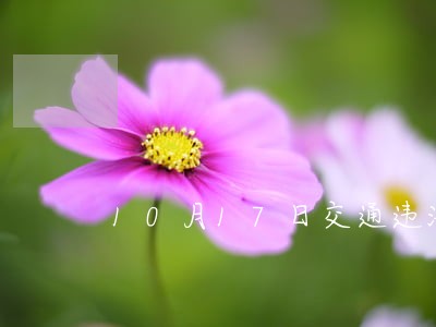 10月17日交通违法曝光