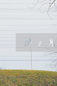 10月26号当天申报算逾期吗 10月26号当天申报算逾期吗