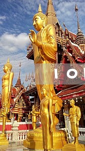 10月29日季度报税算逾期吗 10月29日季度报税算逾期吗
