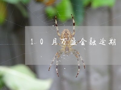 10月万盈金融逾期