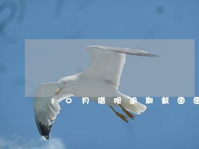 10月借呗逾期截图图片 10月借呗逾期截图图片
