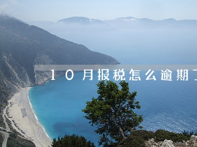 10月报税怎么逾期了 10月报税怎么逾期了