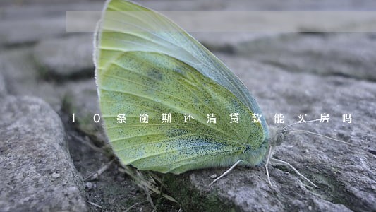 10条逾期还清贷款能买房吗 10条逾期还清贷款能买房吗