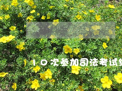 10次参加司法考试终过线 10次参加司法考试终过线