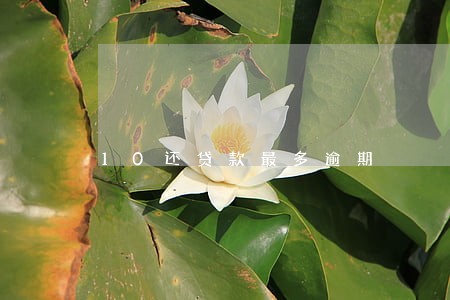 10还贷款最多逾期 10还贷款最多逾期