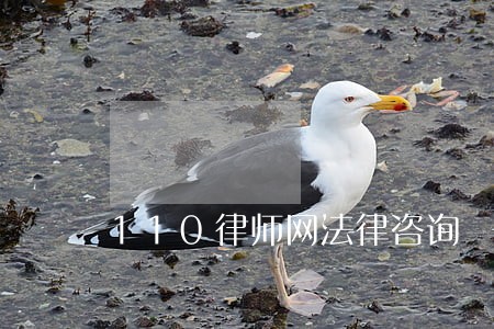 110律师网法律咨询 110律师网法律咨询