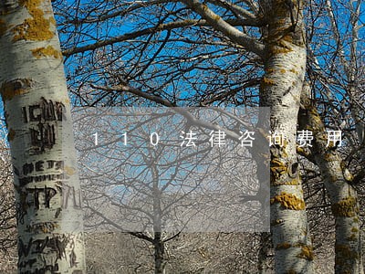 110法律咨询费用 110法律咨询费用
