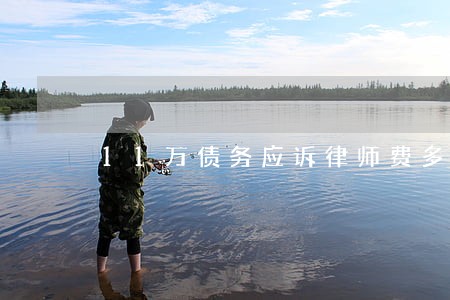 11万债务应诉律师费多少钱 11万债务应诉律师费多少钱