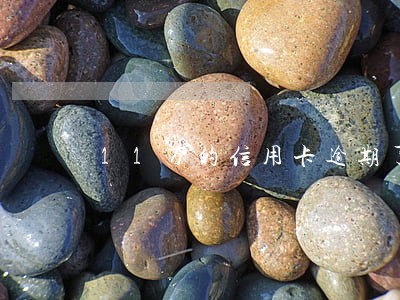 11万的信用卡逾期了会坐牢吗 11万的信用卡逾期了会坐牢吗