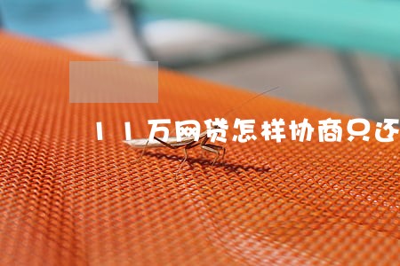 11万网贷怎样协商只还本金 11万网贷怎样协商只还本金