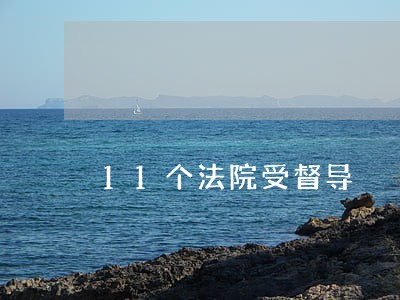 11个法院受督导 11个法院受督导