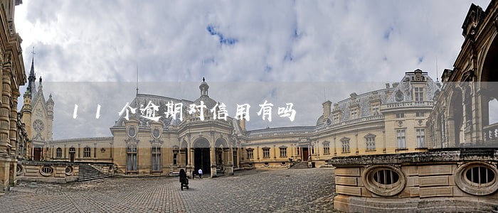 11个逾期对信用有吗 11个逾期对信用有吗