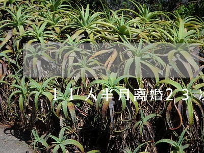 11人半月离婚23次