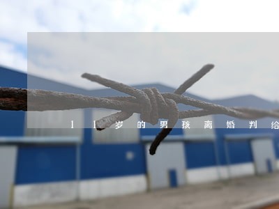 11岁的男孩离婚判给谁 11岁的男孩离婚判给谁