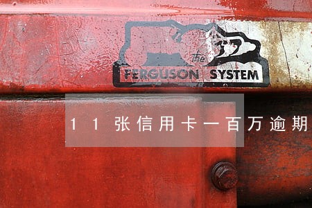 11张信用卡一百万逾期怎么办 11张信用卡一百万逾期怎么办