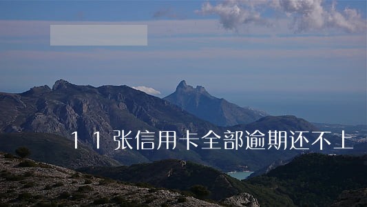 11张信用卡全部逾期还不上 11张信用卡全部逾期还不上