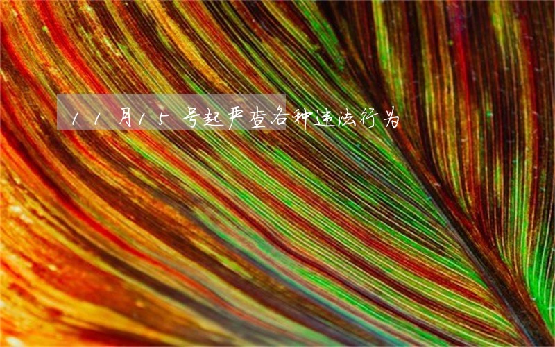 11月15号起严查各种违法行为 11月15号起严查各种违法行为