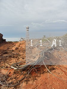 11月1日司法考试 11月1日司法考试