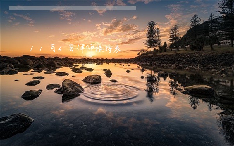 11月6日律师接待表 11月6日律师接待表