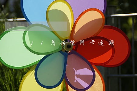 11月份信用卡逾期 11月份信用卡逾期