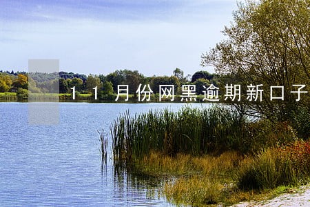 11月份网黑逾期新口子