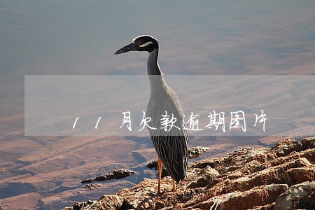 11月欠款逾期图片 11月欠款逾期图片