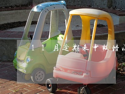 11月逾期未申报情况说明 11月逾期未申报情况说明