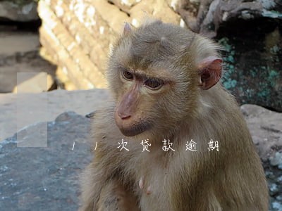 11次贷款逾期 11次贷款逾期