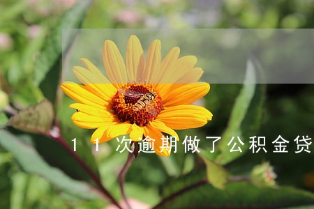 11次逾期做了公积金贷款 11次逾期做了公积金贷款