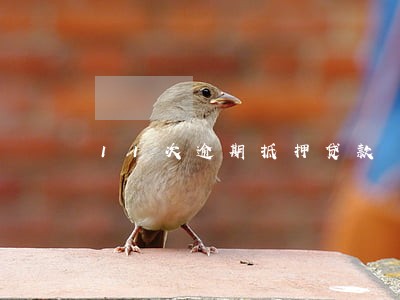 11次逾期抵押贷款 11次逾期抵押贷款