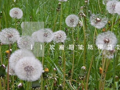 11次逾期能抵押贷款吗 11次逾期能抵押贷款吗