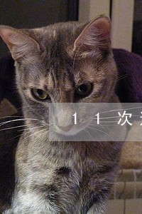 11次逾期能申请公积金贷款吗 11次逾期能申请公积金贷款吗