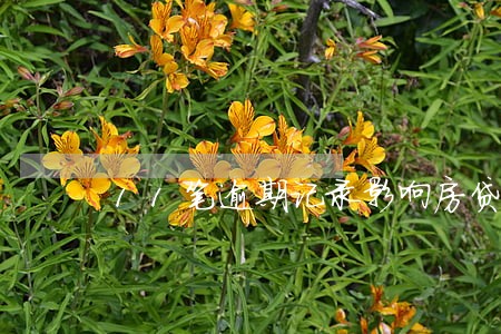 11笔逾期记录影响房贷 11笔逾期记录影响房贷