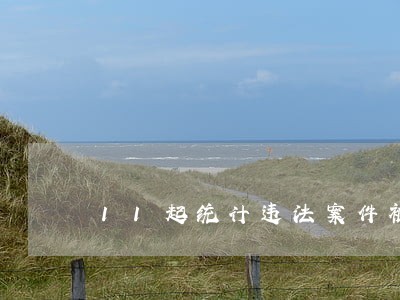 11起统计违法案件被曝光