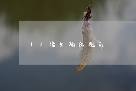 11选5玩法规则 11选5玩法规则