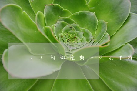 11闪购逾期一天会怎样 11闪购逾期一天会怎样
