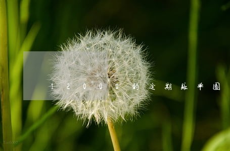 12000的逾期账单图片