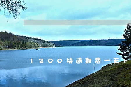 1200块逾期费一天15元 1200块逾期费一天15元
