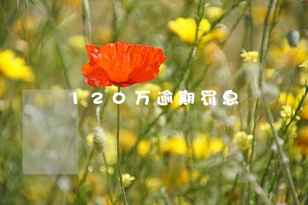 120万逾期罚息 120万逾期罚息