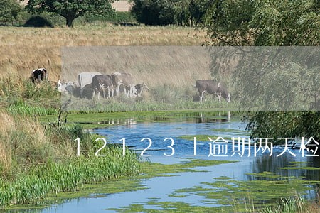 12123上逾期两天检验会怎样 12123上逾期两天检验会怎样