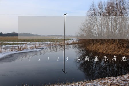 12123上面显示有逾期 12123上面显示有逾期