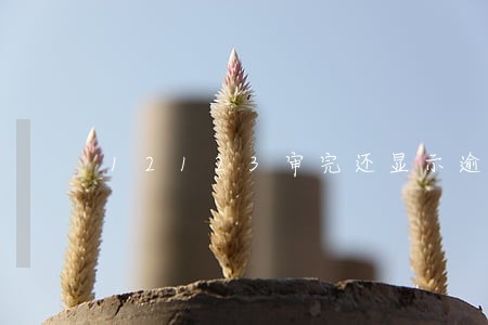 12123审完还显示逾期 12123审完还显示逾期