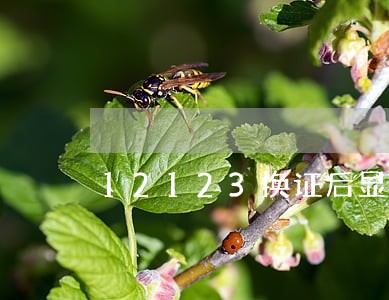 12123换证后显示逾期 12123换证后显示逾期