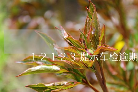 12123提示车检逾期 12123提示车检逾期