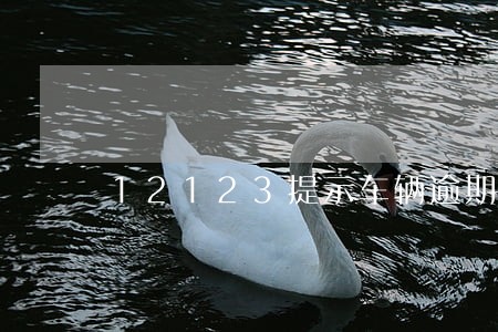12123提示车辆逾期检验 12123提示车辆逾期检验