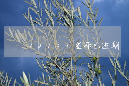 12123显示已逾期 12123显示已逾期